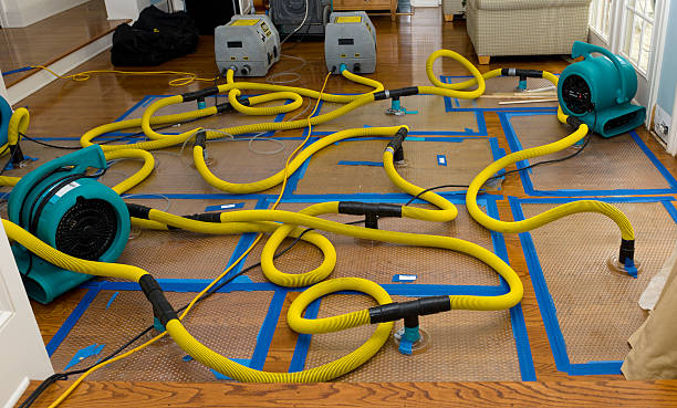 Professional Structural Drying And Dehumidification technician working in Eaton Rapids, MI